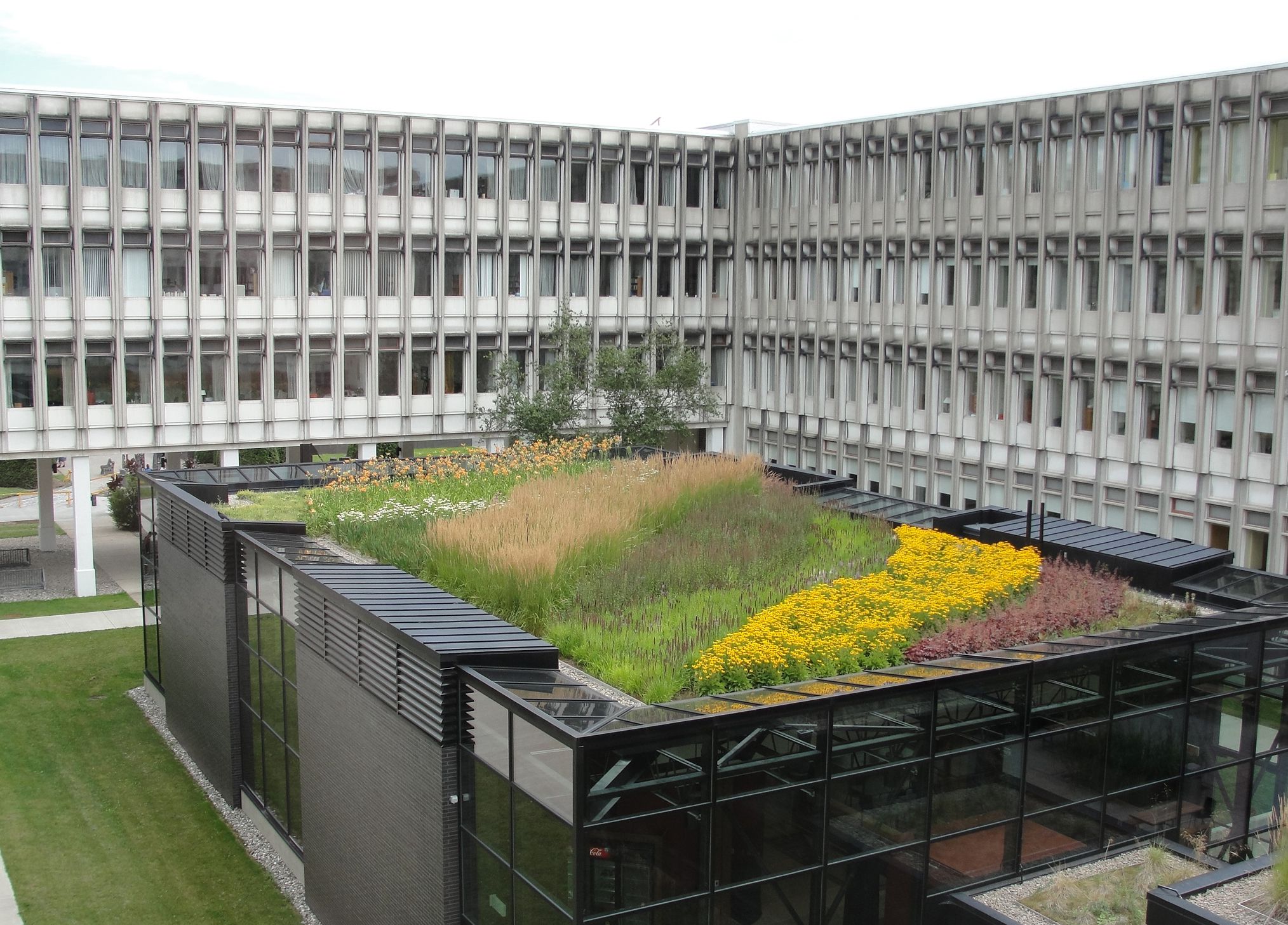 toit vert au pavillon Charles-De Koninck