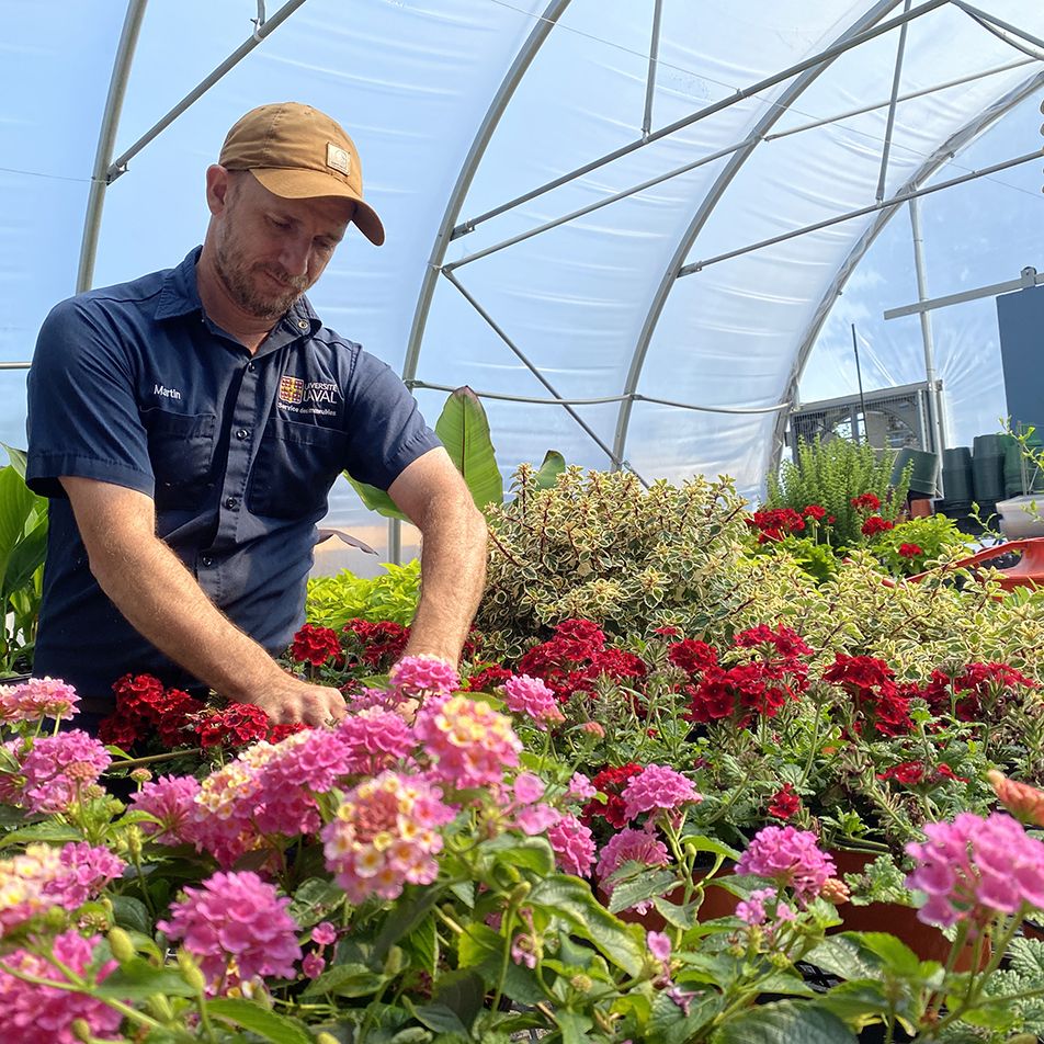 Horticulteur qui travaille dans la serre